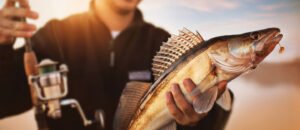 ما الذي يجعل الشارقة وجهة مثالية لمحبي صيد السمك؟