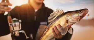 ما الذي يجعل الشارقة وجهة مثالية لمحبي صيد السمك؟