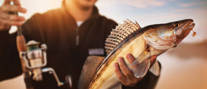 ما الذي يجعل الشارقة وجهة مثالية لمحبي صيد السمك؟